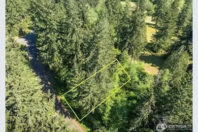 10515 Edgewood Drive, Anderson Island, WA 98303 - Photo 3