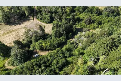0 Gibson Creek Road, Oakville, WA 98568 - Photo 13
