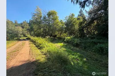 0 Gibson Creek Road, Oakville, WA 98568 - Photo 7