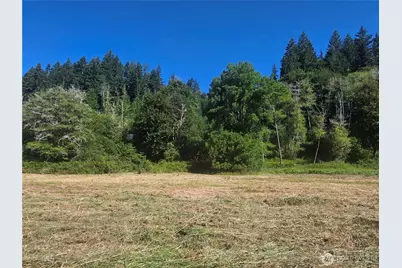 0 Gibson Creek Road, Oakville, WA 98568 - Photo 19