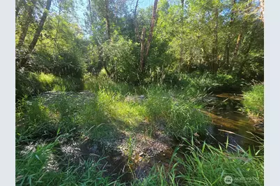 0 Gibson Creek Road, Oakville, WA 98568 - Photo 25