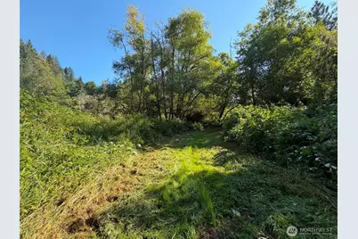 0 Gibson Creek Road, Oakville, WA 98568 - Photo 9