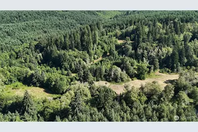 0 Gibson Creek Road, Oakville, WA 98568 - Photo 17