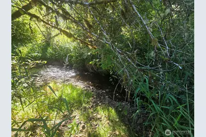 0 Gibson Creek Road, Oakville, WA 98568 - Photo 27
