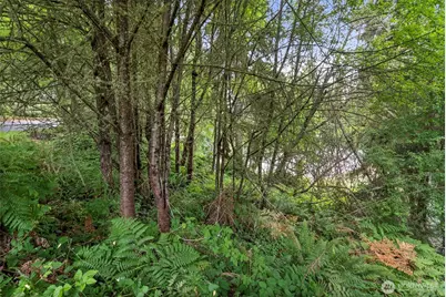 6 Kala Lagoon Court, Port Townsend, WA 98368 - Photo 9