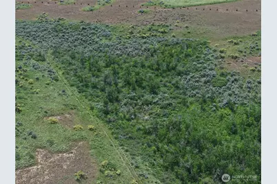 0 Titchenal Canyon Road SW, Waterville, WA 98858 - Photo 29