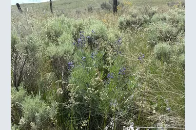 0 Titchenal Canyon Road SW, Waterville, WA 98858 - Photo 11