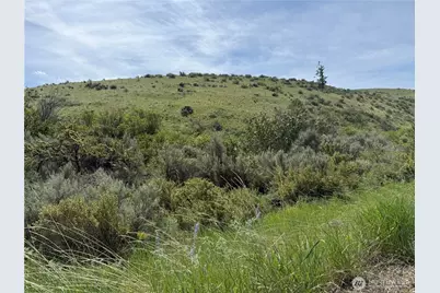 0 Titchenal Canyon Road SW, Waterville, WA 98858 - Photo 5