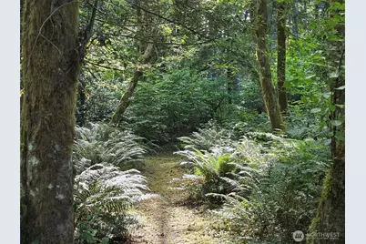 23601 Landers Road SW, Vashon, WA 98070 - Photo 11