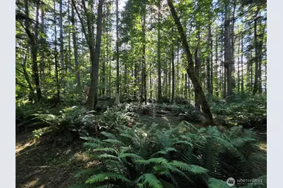 23601 Landers Road SW, Vashon, WA 98070 - Photo 17