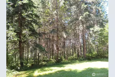 419 Meskill Road, Chehalis, WA 98532 - Photo 39