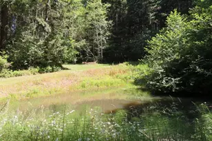 419 Meskill Rd, Chehalis, WA 98532 - Photo 25