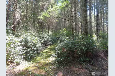419 Meskill Road, Chehalis, WA 98532 - Photo 37