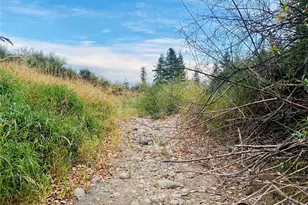 3444 W Matlock-Brady Rd, Elma, WA 98541 - Photo 11