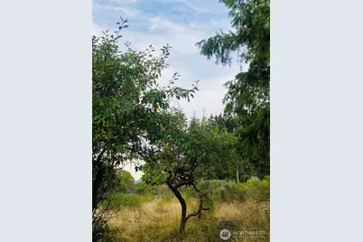 3444 W Matlock-Brady Road, Elma, WA 98541 - Photo 13