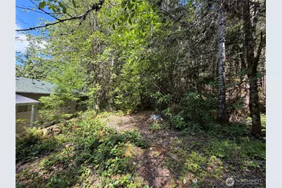 10 Creek Court, Brinnon, WA 98320 - Photo 21