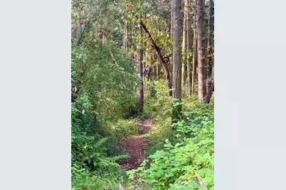 999 Hancock Street, Port Townsend, WA 98368 - Photo 3