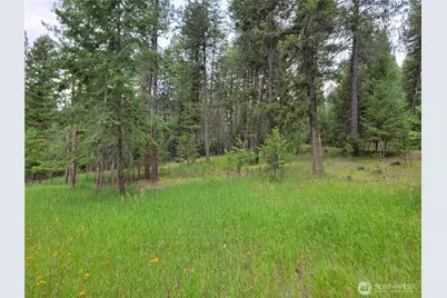 40 Evergreen Drive, Curlew, WA 99118 - Photo 3