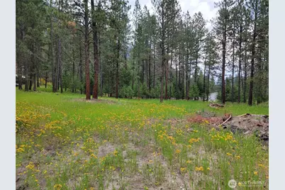 40 Evergreen Drive, Curlew, WA 99118 - Photo 5