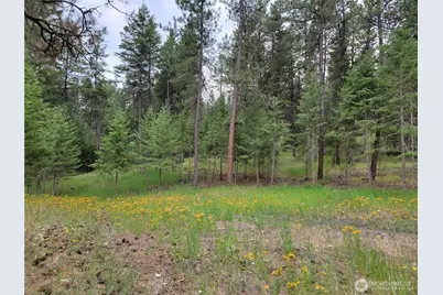 40 Evergreen Drive, Curlew, WA 99118 - Photo 9
