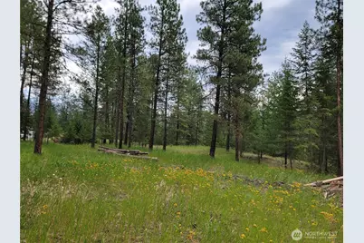 40 Evergreen Drive, Curlew, WA 99118 - Photo 11