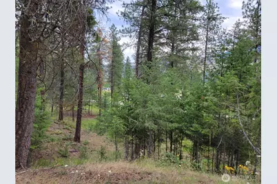 40 Evergreen Drive, Curlew, WA 99118 - Photo 7