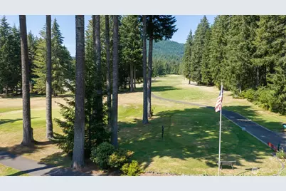 61 N Mt Noyes Way, Hoodsport, WA 98548 - Photo 15