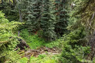 101 Gold Hill Rd E, Enumclaw, WA 98022 - Photo 29