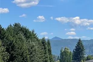 18621 Blueberry Ln, Monroe, WA 98272 - Photo 19