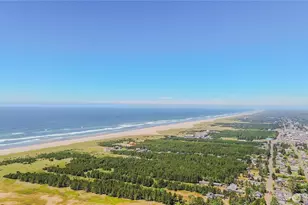 4315 K Pl, Seaview, WA 98644 - Photo 39