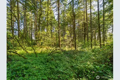 8726 210th E, Graham, WA 98338 - Photo 29