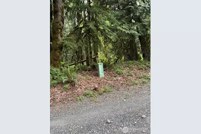 0 Upper Frost Creek Road, Maple Falls, WA 98266 - Photo 1