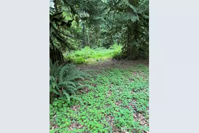 0 Upper Frost Creek Road, Maple Falls, WA 98266 - Photo 5