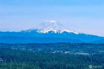 7801 207th Street Ct E, Spanaway, WA 98387 - Photo 25