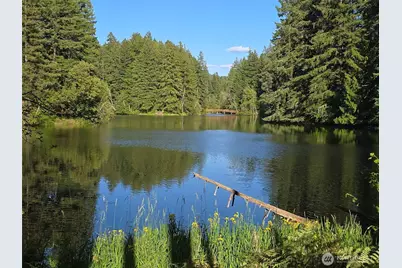 22208 Bluewater Court SE, Yelm, WA 98597 - Photo 21