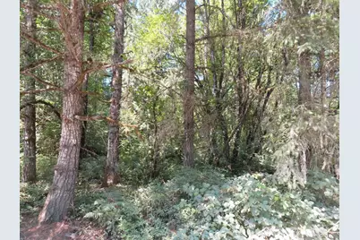 115 Campground Lane, Winlock, WA 98596 - Photo 3