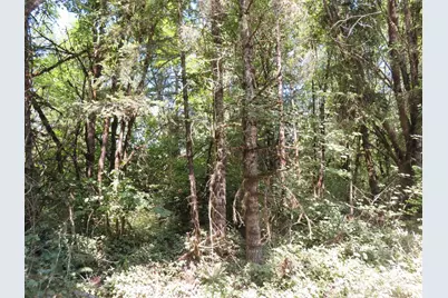 115 Campground Lane, Winlock, WA 98596 - Photo 7
