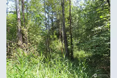115 Campground Lane, Winlock, WA 98596 - Photo 9
