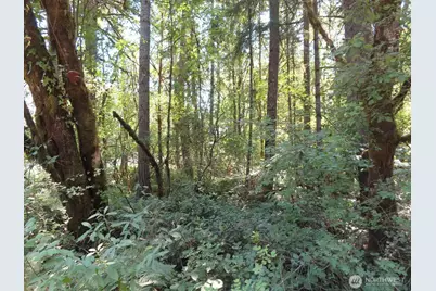 115 Campground Lane, Winlock, WA 98596 - Photo 13