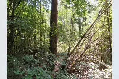 115 Campground Lane, Winlock, WA 98596 - Photo 15