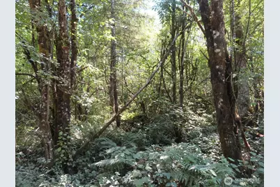 115 Campground Lane, Winlock, WA 98596 - Photo 17