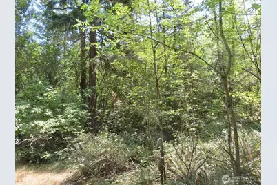 115 Campground Lane, Winlock, WA 98596 - Photo 19