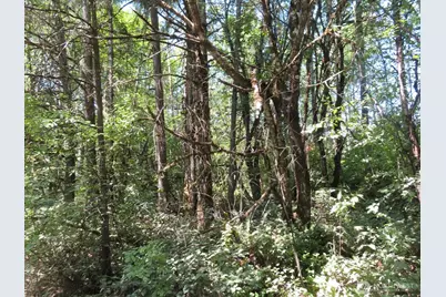 115 Campground Lane, Winlock, WA 98596 - Photo 11