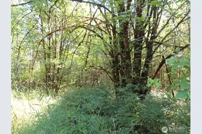 115 Campground Lane, Winlock, WA 98596 - Photo 21
