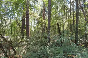 115 Campground Ln, Winlock, WA 98596 - Photo 1