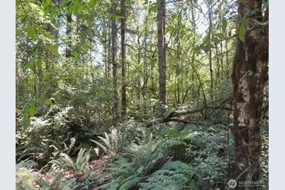 115 Campground Lane, Winlock, WA 98596 - Photo 5