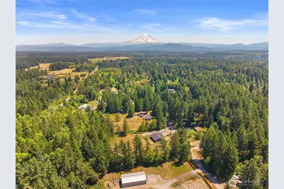4615 354th Street E, Eatonville, WA 98328 - Photo 7