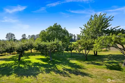2752 Douglas Road, Ferndale, WA 98248 - Photo 37