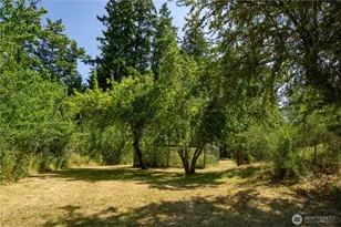 51 Hawks Pr Rd, Sequim, WA 98382 - Photo 37