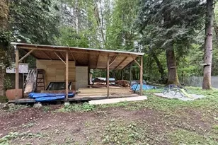 55901 317th Ave E, Ashford, WA 98304 - Photo 29
